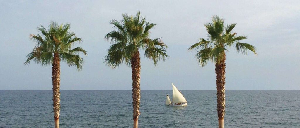 Palma Invest Immobilien