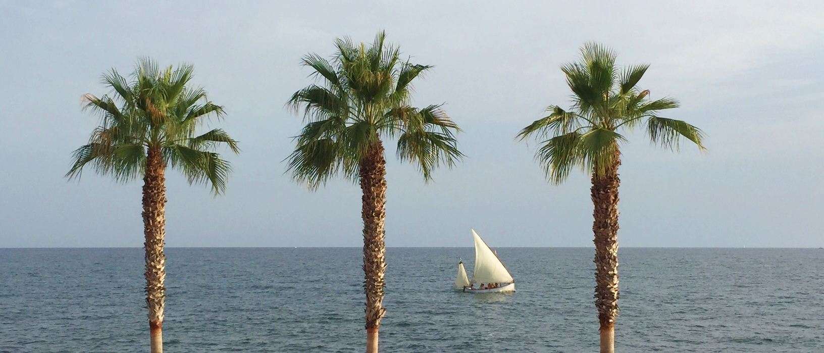 Palma Invest Immobilien