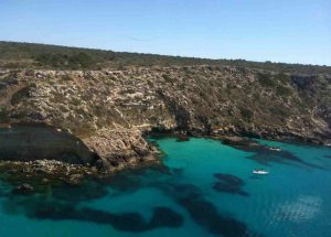 Portal Mallorca Die Info Webseiten der Balearen seit 2007