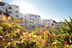 The Holiday Park ApartmentsSanta Ponsa