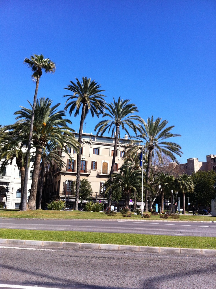 alle 1336