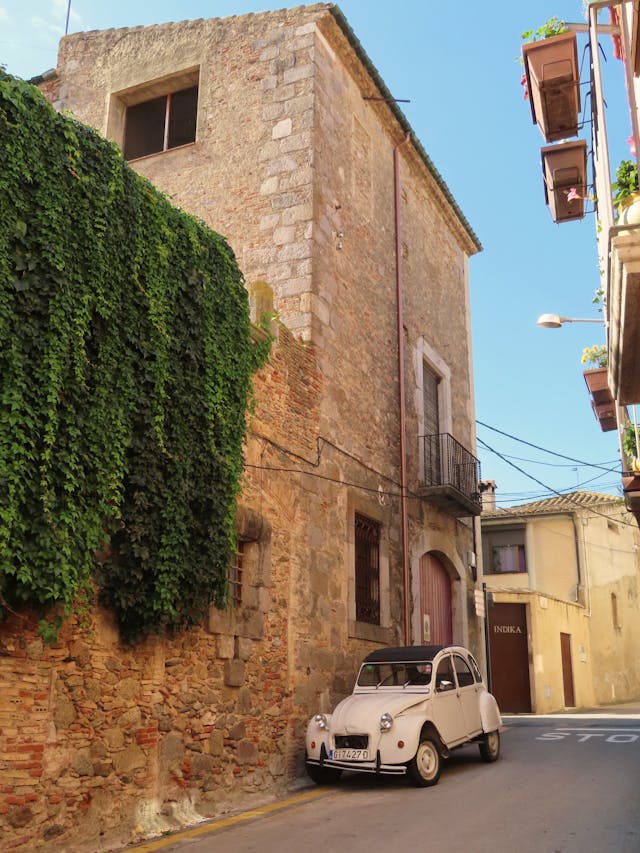 pexels-xavier-altimiras-1650821-14023123