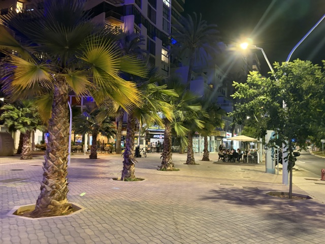 Paseo Maritimo Palma de Mallorca