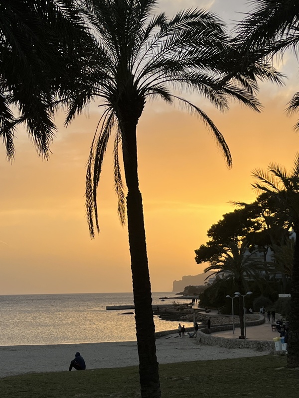 Bucht von Santa Ponsa Mallorca - sonnuntergang