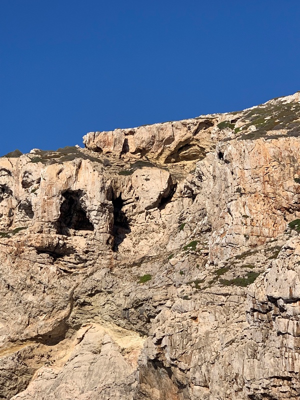 Cabrera vor Mallorca – die Insel, auf der Mallorca plötzlich wieder wild wird