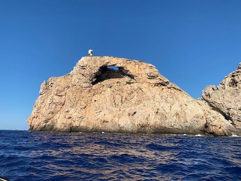 Cabrera vor Mallorca – die Insel, auf der Mallorca plötzlich wieder wild wird