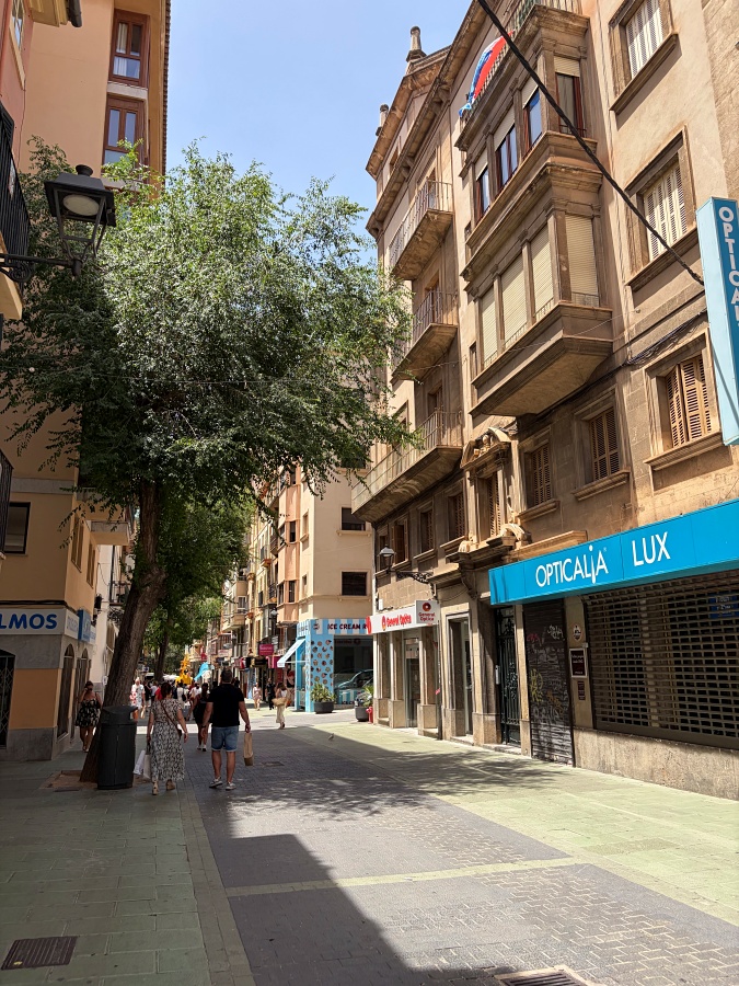 Calle Olmos Palma Shopping de Mallorca